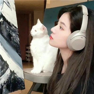 屠夫状元